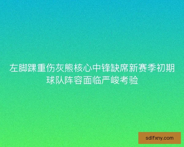 左脚踝重伤灰熊核心中锋缺席新赛季初期球队阵容面临严峻考验 左脚踝重伤灰熊核心中锋缺席新赛季初期球队阵容面临严峻考验