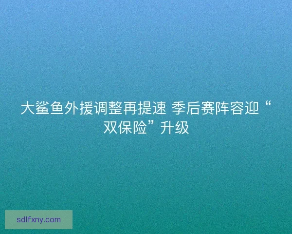 大鲨鱼外援调整再提速 季后赛阵容迎 “双保险” 升级