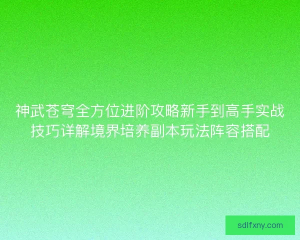 神武苍穹全方位进阶攻略新手到高手实战技巧详解境界培养副本玩法阵容搭配 神武苍穹全方位进阶攻略新手到高手实战技巧详解境界培养副本玩法阵容搭配