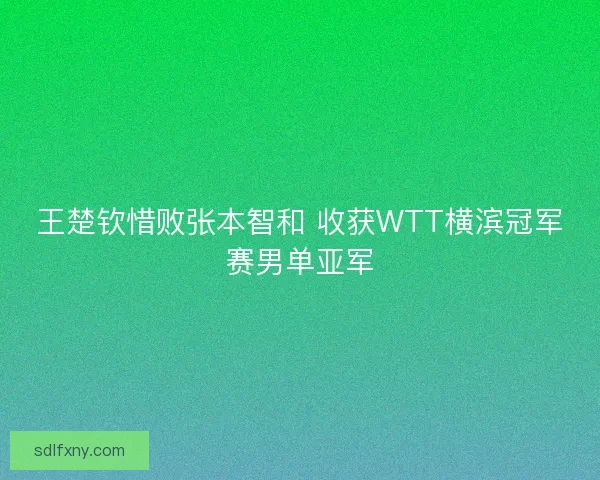 王楚钦惜败张本智和 收获WTT横滨冠军赛男单亚军 王楚钦惜败张本智和 收获WTT横滨冠军赛男单亚军